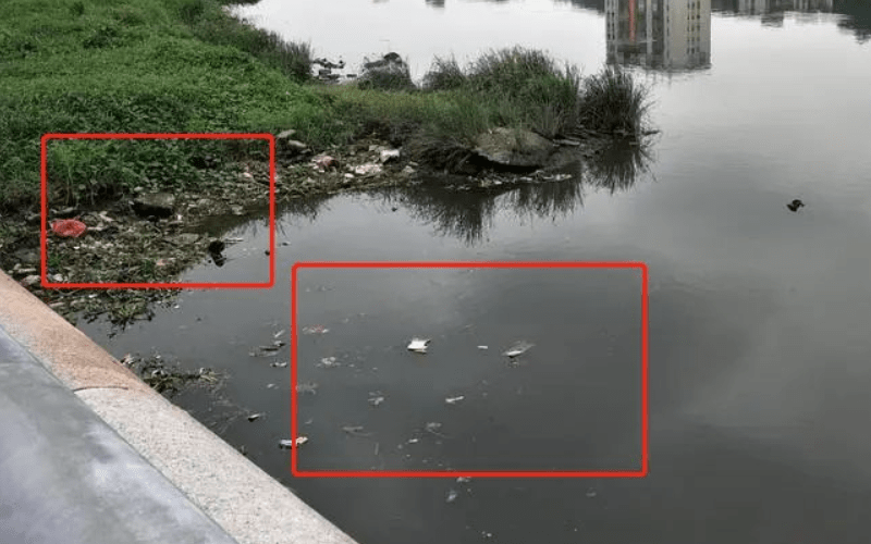 漂浮物堆积检测